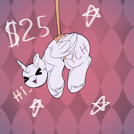 $25 Hi Pony!